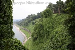 Botanischer Garten Batumi - Adscharien